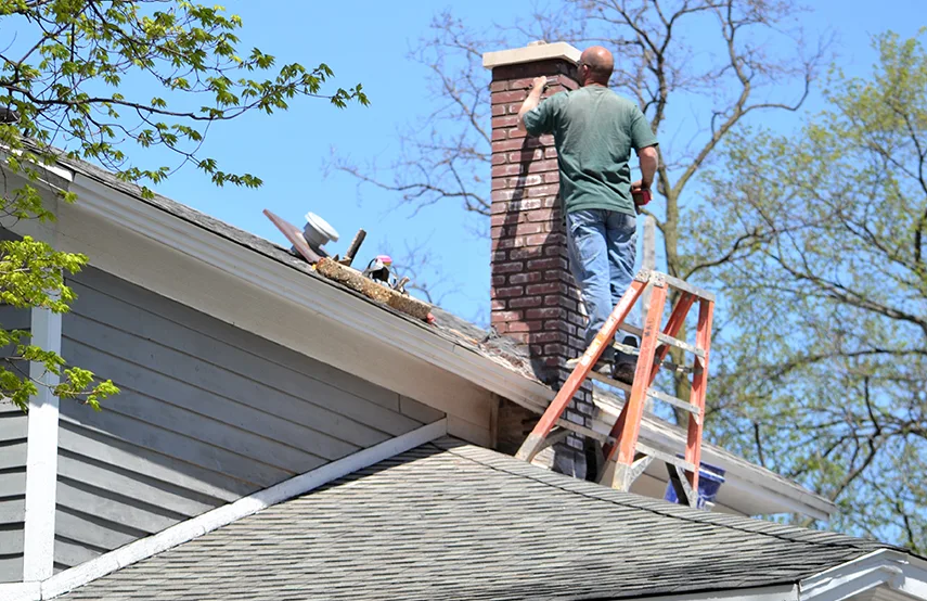Chimney & Fireplace Inspections Services in Kinston, NC